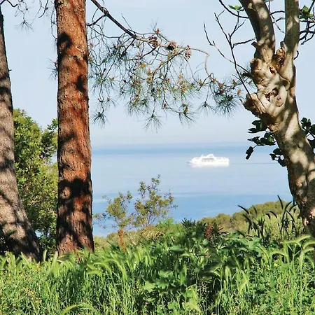 Awesome In Coti-chiavari Holiday home *
